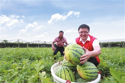 瓜果飄香 助農(nóng)增收