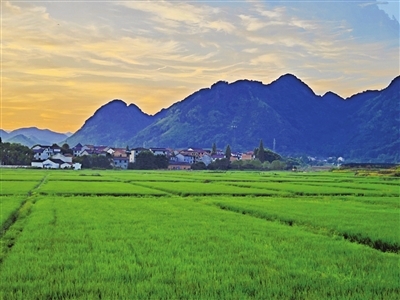 田園風(fēng)光 壯美如畫